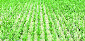 வரவேற்கிறோம்.